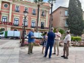 Las ms de 18.000 palmeras del municipio reciben labores de revisin y poda