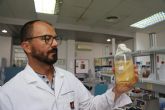 Dise�an un consorcio microbiano para la producci�n de nanocelulosa a partir de subproductos de naranja