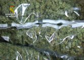 La Guardia Civil se incauta de ms de cuatro kilos de cogollos de marihuana en guilas