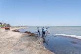 Las brigadas del Litoral retiran 60 toneladas de algas y biomasa en las playas sur del Mar Menor durante el mes de agosto