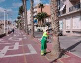 El Ayuntamiento 'afeita' las partes inferiores de algunas palmeras para mejorar la seguridad de los viandantes