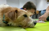 Las intervenciones asistidas con animales y su efecto directo en el bienestar de las personas