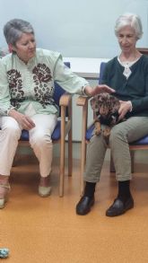 4 de octubre: D�a mundial de los animales