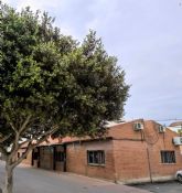 La Junta Municipal de Javal� Nuevo reprueba a la concejala de Educaci�n de Murcia y exige la inmediata contrataci�n de la sala de estudio