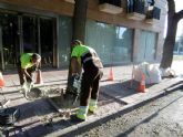 El Ayuntamiento reforma ms de una treintena de alcorques de la Avenida de los Pinos