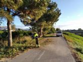 El Ayuntamiento desarrolla labores de poda y desbroce en el tramo del carril bici desde El Raal a Llano de Brujas