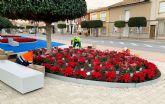 El color de la Navidad llega a los espacios verdes de Las Torres de Cotillas con 3.000 flores de Pascua