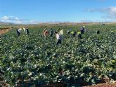 Proexport: 'Un 97% de los trabajadores agrarios elige trabajar en el da de huelga convocado por CCOO y UGT'