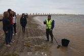Retiradas 34 toneladas de algas de las playas de Villananitos y La Puntica