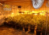La Guardia Civil desmantela en una casa de campo de Cieza un invernadero subterráneo con 200 plantas de marihuana