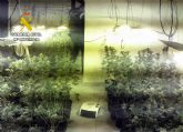 La Guardia Civil desmantela en Mazarrón un grupo delictivo que cultivaba y distribuía grandes cantidades de marihuana