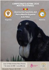 Lorca acoge este sábado, 7 de marzo, la celebración del 'IV Monográfico del Mastín Español' con la participación de más de medio centenar de ejemplares de toda España