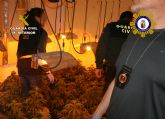 Desmantelado un invernadero clandestino de marihuana tipo indoor en Calasparra