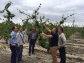 El grupo de trabajo de frutales comprueba in situ la produccin recolectable de las zonas afectadas por la helada de febrero