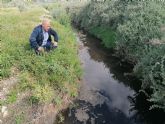 - NOTA DE PRENSA- Sosa emplaza al alcalde a visitar las lagunas contaminadas y pestilentes del ro Guadalentn