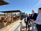 El Gobierno regional refuerza la sanidad animal con una convocatoria de un mill�n de euros para las Agrupaciones de Defensa Sanitaria Ganadera