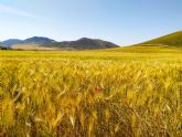 La Agricultura Ecolgica, señalada por la Unin Europea, como una de las herramientas para cuidar el Medio Ambiente