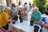 Personas mayores de Cartagena plantan especies autctonas para revitalizar el jardn de La Milagrosa
