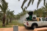 El Ayuntamiento pone en marcha un refuerzo especial para controlar los mosquitos en Cartagena y su litoral