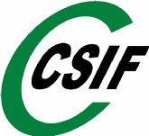 CSIF denuncia el caos inform�tico en la Direcci�n General de Polic�a para expedir documentos: la regularizaci�n de extranjeros puede colapsar