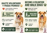 Hazte voluntario y pasea perros