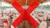 IU-Verdes: 'Un gran paso para evitar la instalación de macrogranjas de cerdos en Cieza'