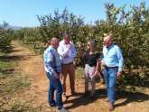La produccin ecolgica en el Campo de Cartagena alcanza el siete por ciento