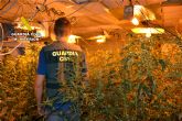 La Guardia Civil desmantela un grupo delictivo que cultivaba marihuana en Cieza