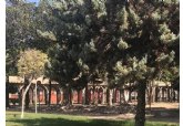 El PSOE de San Javier denuncia la adjudicación de la obra del Parque Almansa a unos empresarios vinculados a la Gürtel