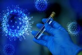 Las primeras vacunas frente a la COVID-19 podrían prevenir casos graves pero no frenar la transmisión del virus