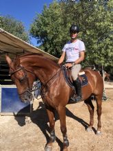 Medalla de bronce en el Campeonato de Espana Universitario de Equitacin para un alumno de Arquitectura