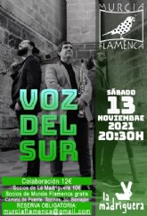 Murcia Flamenca: Gala 'Voz del Sur', 13 Nov