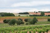 Premio IWC 2025 a Mejor Iniciativa de Responsabilidad Social y Ambiental a Vitis Navarra por Dominio D'Echauz