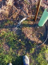 Las zonas verdes de la localidad, foco de actos vandlicos planificados con la intencin de causar el mayor daño posible