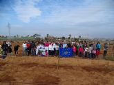 Voluntarios plantan un nuevo bosque de Ciprs de Cartagena en Calblanque