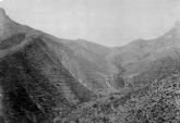 La exposición sobre la reforestación de Sierra Espuña recibe a más de mil personas en el Centro de Visitantes Ricardo Codorníu