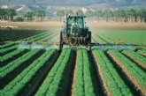 Planas apuesta por la agricultura familiar que produce ms del 80% de los alimentos del planeta