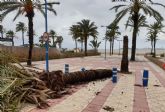 El Ayuntamiento contrata mobiliario de playa con cargo a los 125.000 euros concedidos por la CARM