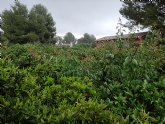 ASAJA Murcia califica como “beneficiosas” las lluvias caídas este fin de semana en el campo murciano