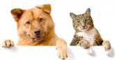 Sanidad promueve una campaña de esterilización de mascotas