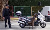 Seis unidades caninas policiales demuestran su destreza en la tradicional exhibición de la Policía Local