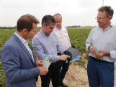 La Comisin Europea se interesa por una aplicacin que analiza el nitrgeno de los cultivos en zonas vulnerables