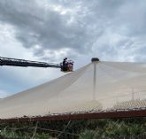 Terra Natura Murcia y el Servicio de Bomberos rescatan un nido de cig�e&ntilde;as a m�s de 15 metros de altura