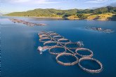 Equalia ONG alerta de la urgencia de una acuicultura sostenible para proteger los ocanos