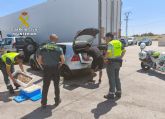 La Guardia Civil se incauta de 21 kilos de langostinos vivos en un vehculo particular