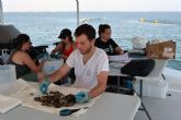 Las ostras del Mar Menor superan el primer test del veranoen un proyecto piloto de acuicultura restaurativa para la laguna