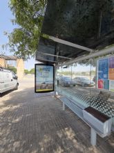 Lorca recuerda que sus playas son 'Territorio Tortuga' con una campana de sensibilizaci�n para proteger la nidificaci�n de la tortuga boba