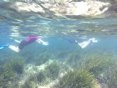 Vuelve CAMONMAR3 para sumergirnos en las aguas del Puerto de Mazarrn y mostrarnos la riqueza de sus fondos marinos