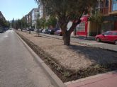 Finalizados los trabajos de acondicionamiento de la mediana en la calle Pintor Muñoz Barberán de El Palmar