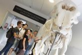 Treinta y tres esqueletos completos de animales pueden verse en el Museo Veterinario de la Universidad de Murcia